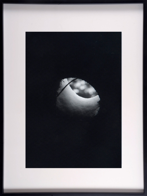 Photograph by Emilio Chapela