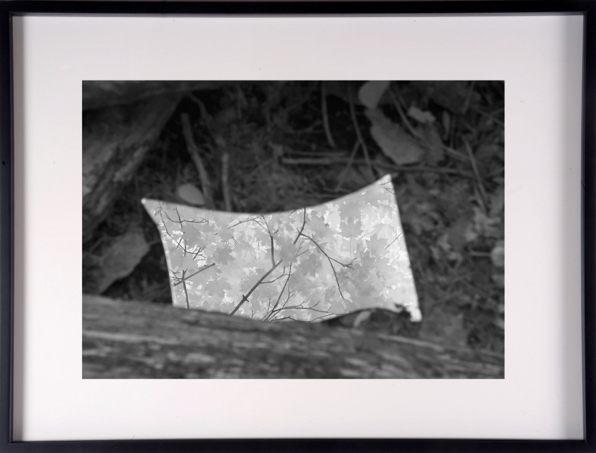 Photograph by Emilio Chapela