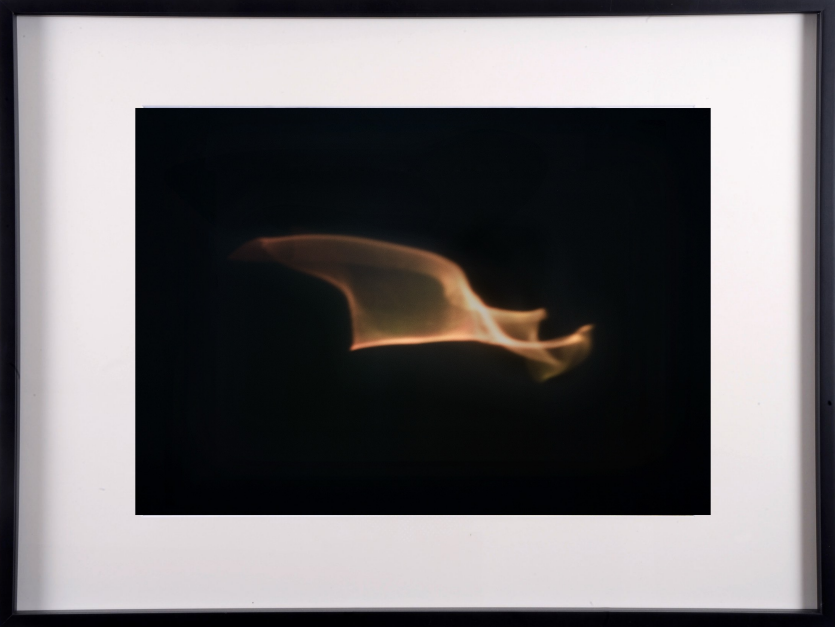 Photograph by Emilio Chapela