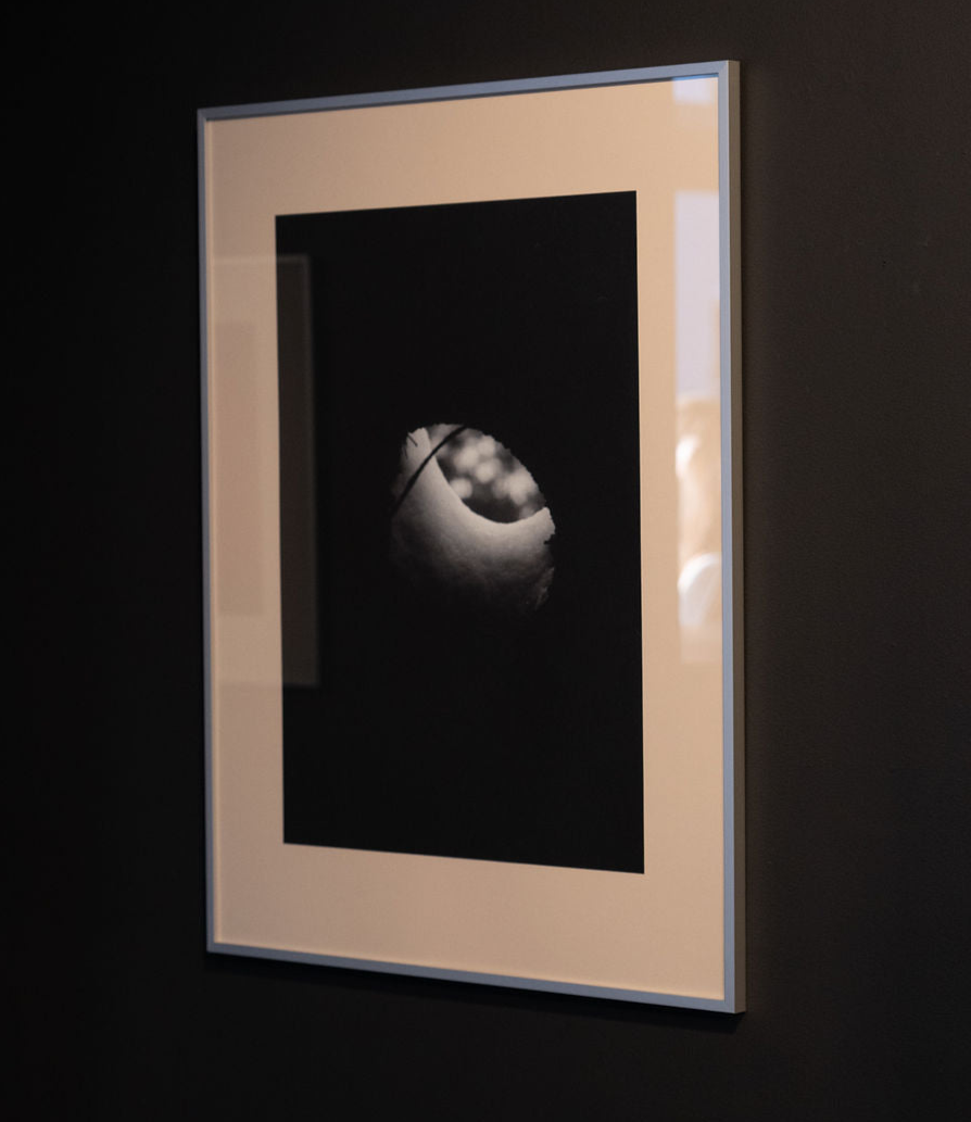 Photograph by Emilio Chapela