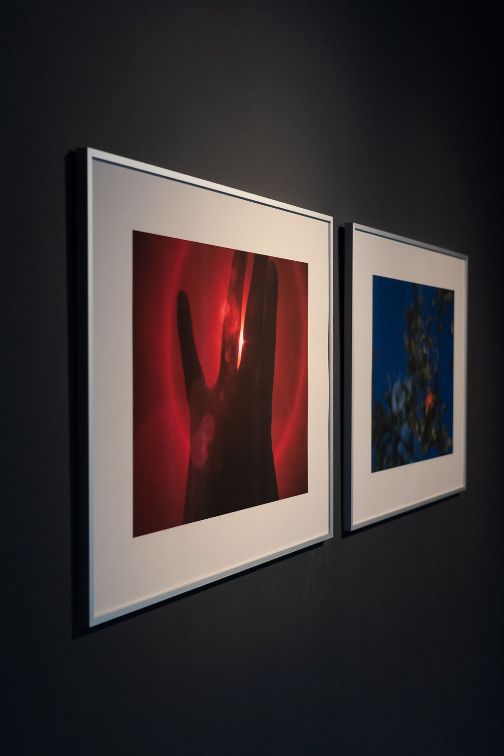 Photograph by Emilio Chapela